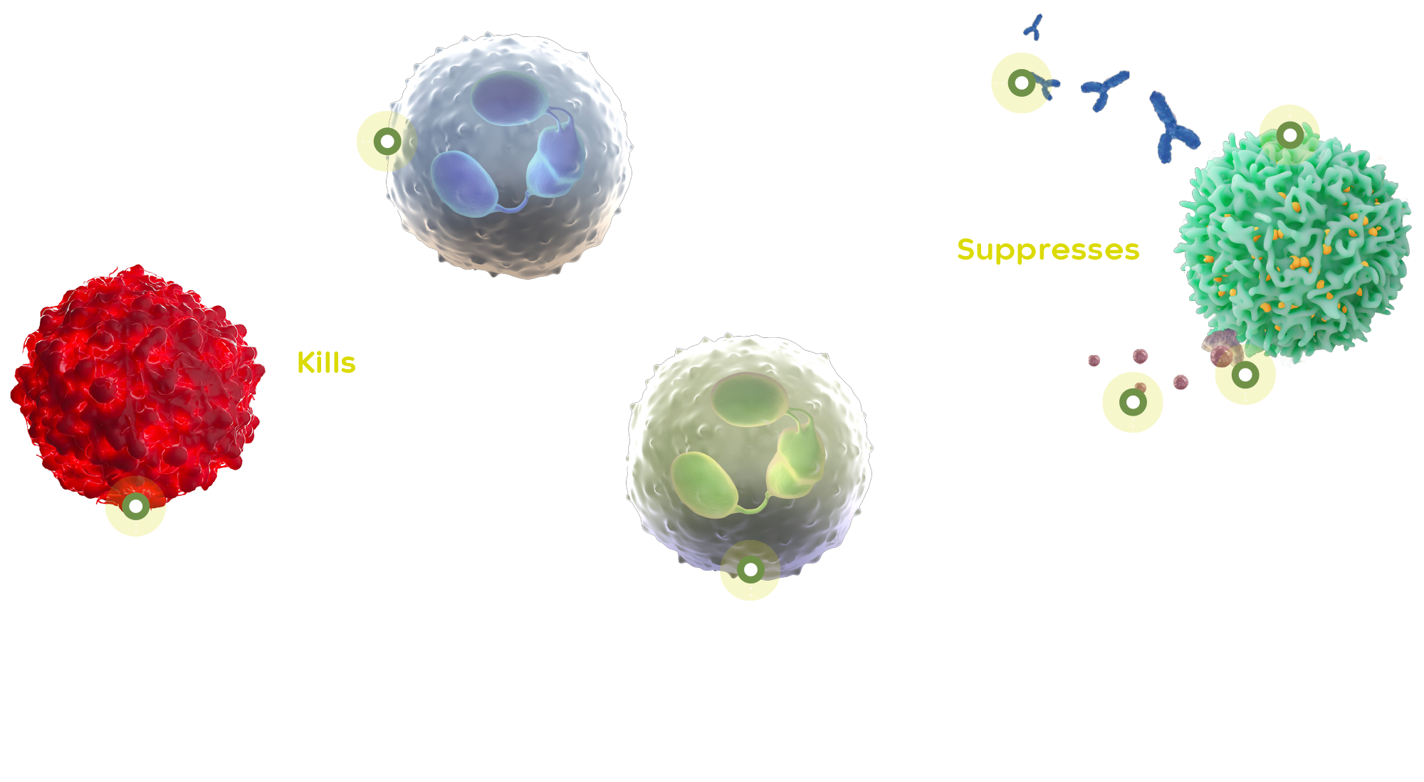 Research & Development – Synox | Website